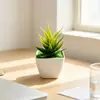 Planta miniatura de aloe vera artificial en maceta para comercio electrónico transfronterizo, adecuada para mesas de restaurantes y hoteles, bonsái suculento, accesorios para fotografía de interiores
