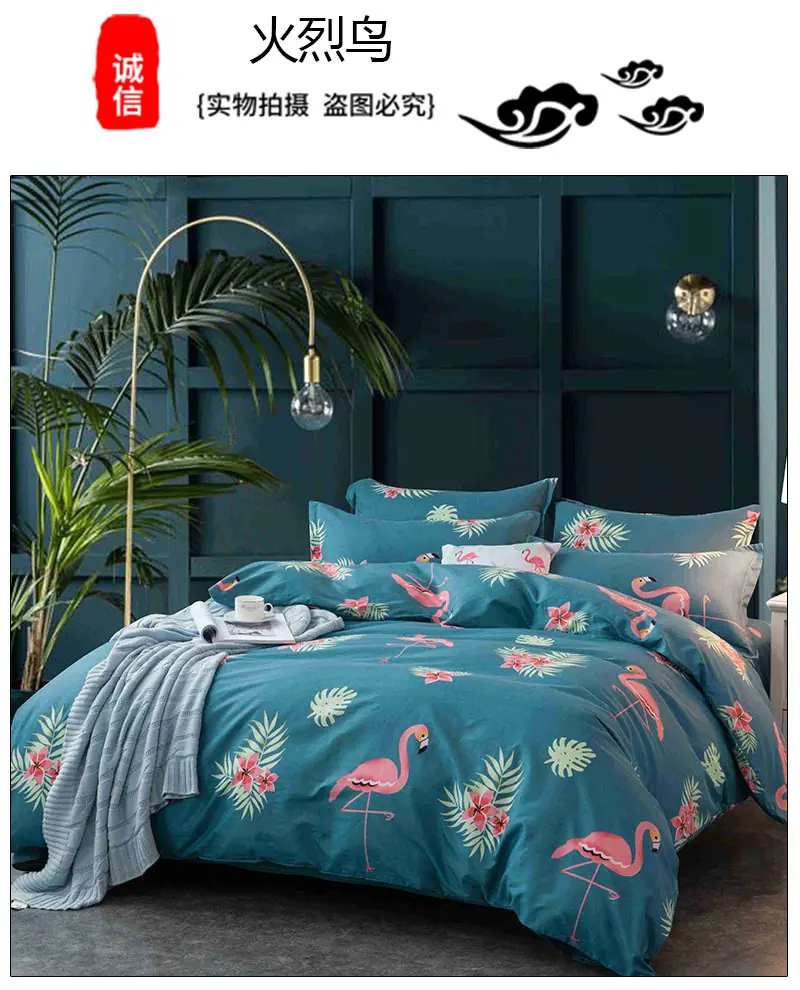 火烈鸟.jpg