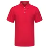 Camisa Polo Piqué de Verano Fresca para Comercio Exterior Ropa de Trabajo Camisa Cultural con Logo Impreso Uniforme de Equipo Deportes al Aire Libre