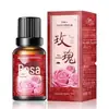 Óleo Essencial de Massagem para Beleza da Pele 10ml Massagem Spa Óleo Essencial Corpo Inteiro Delicado Óleo Essencial Cuidado Salão de Beleza Fabricante Atacado
