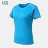 Roupas de secagem rápida fixas, manga curta, gola redonda, solta, casal, fitness, meia manga, camiseta feminina, estudantes, corrida, esportes, camiseta