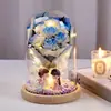 Presente de Dia dos Namorados Cobertura de Vidro Buquê Prático Flor de Sabão Luz Noturna Presente de Aniversário Presente de Dia dos Namorados para Namorada e Melhor Amiga