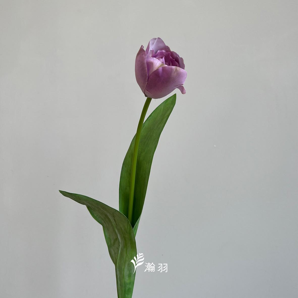 紫1