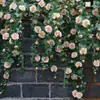Enredadera de Rosas Simulada de Alta Gama, Enredadera Artificial de Flores Estilo Jardín, Arco de Pared, Envoltura para Tuberías Colgantes, Enredadera Decorativa para Cubrir y Decorar
