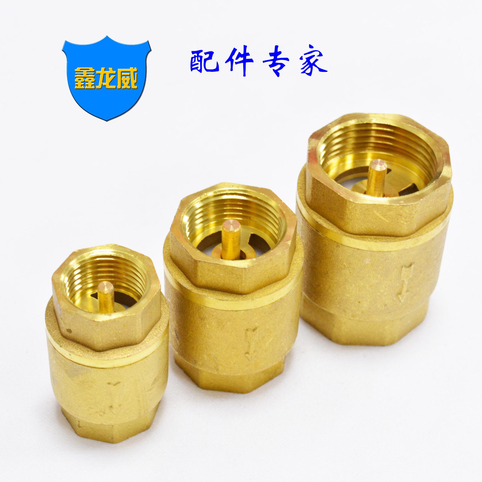 立式止回阀普通.jpg