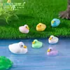 Transfronterizo Nuevo Producto Muñeca de Patito Lindo Paisajismo de Jardinería Lindo Decoración DIY Accesorios para Colgar Micro Paisaje Pequeños Adornos