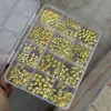Caixa de Decorações para Nail Art Transfronteiriça, Laço na Cor Café, Pérolas de Fundo Plano Cor Champagne, Pérolas Esféricas, Rebites Metálicos Estilo Oceano