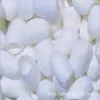Limpeza de Beleza, Sabonete Facial, Casca de Casulo de Bicho-da-Seda, Bola de Seda, Casulo de Bicho-da-Seda Embelezador da Pele, Casulo de Beleza, Casulo de Amora em Vídeo