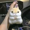 Lindo llavero de hámster, muñeco de puesto, venta al por mayor, bolso colgante, bolso colgante, llavero de peluche, regalo