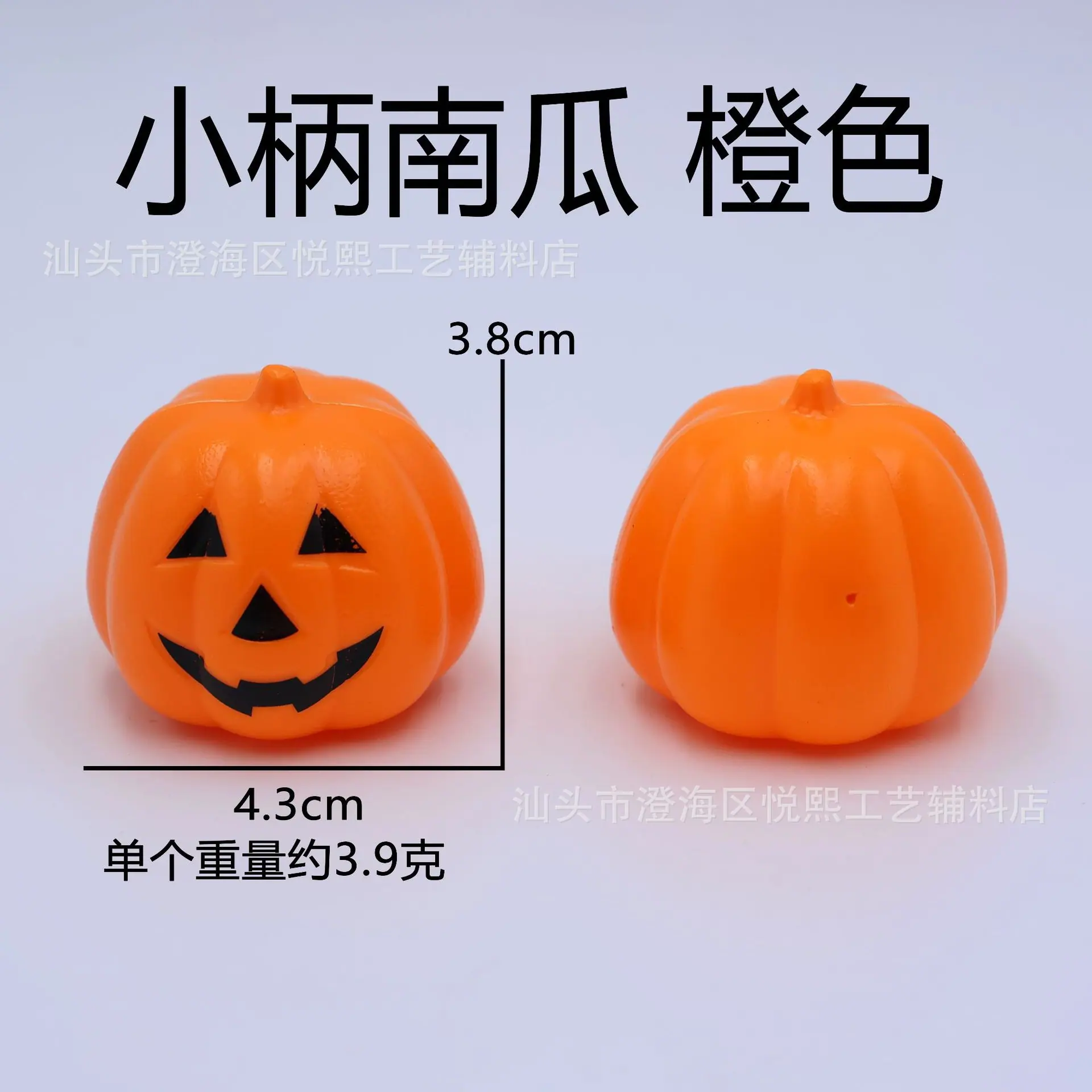 小柄南瓜橙色