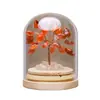 Cubierta de Polvo de Ágata de Cristal Natural, Árbol de la Vida, Piedra de Cristal, Árbol del Dinero, Especimen, Decoración del Hogar, Adornos de Exhibición