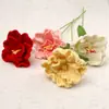 Floricultura Produto Novo Acabado Flor Desabrochando Feito à Mão Lã Tricotada Galho de Flor Platycodon Buquê Acessórios Decorativos Atacado para Namorada