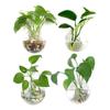 Maceta Colgante para Planta de Aire Florero Contenedor para Planta de Aire Contenedor para Planta Colgante de Pared
