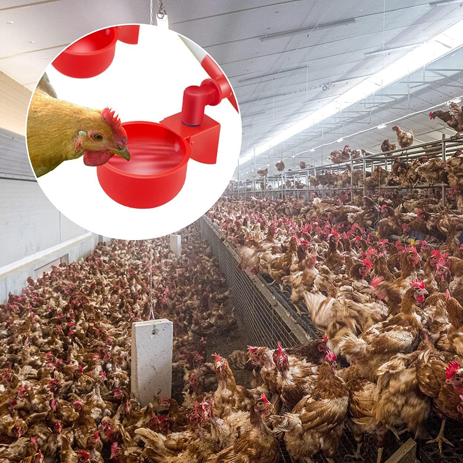 81UjKnhVwoL__AC_SL1500_