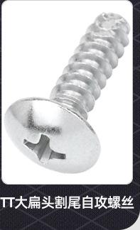 十字沉头割尾自攻螺丝_02_09.jpg