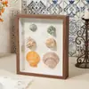 Moldura de Foto DIY Feita à Mão Moldura Estéreo Oca para Espécimes Coleção de Conchas Pedras Flores Secas Moldura de Foto para Exibição de Conservação