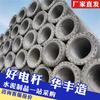 Fabricantes de Productos de Cemento Tienen en Stock Postes Eléctricos de Cemento Pretensado de 12m y Postes Eléctricos de Concreto de 10m