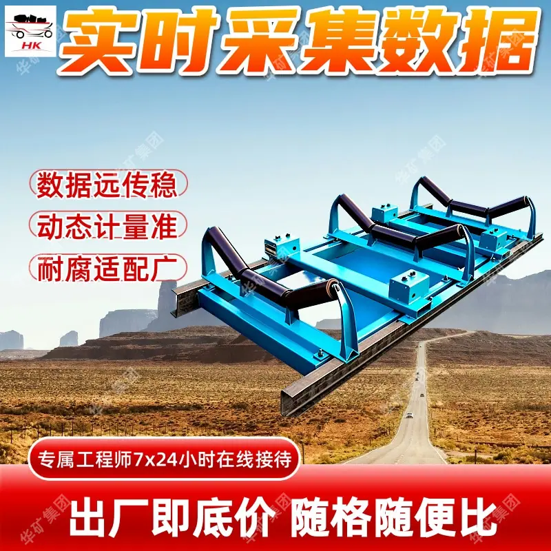 电子皮带秤 (4).jpg