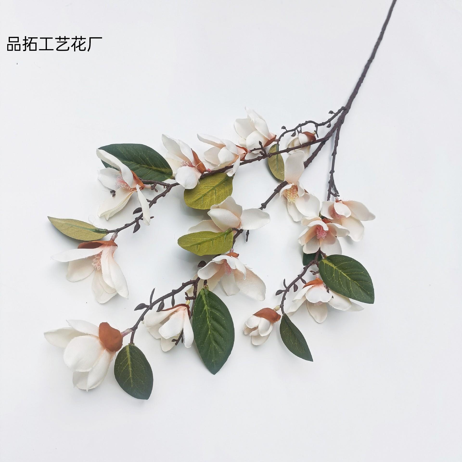 503465bc3b487b5e8097864b18f472