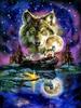 Pintura de Diamante Completa Gato Fofo DIY Adesivos de Pintura de Diamante Pintura de Diamante Feita à Mão Adesivos Aleatórios Atacado Comércio Exterior