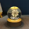 Luz nocturna enchufable de decoración para el hogar muy atractiva con forma de erizo de mar y caracola marina, decoración luminosa para mesa de noche y mesita de noche de dormitorio
