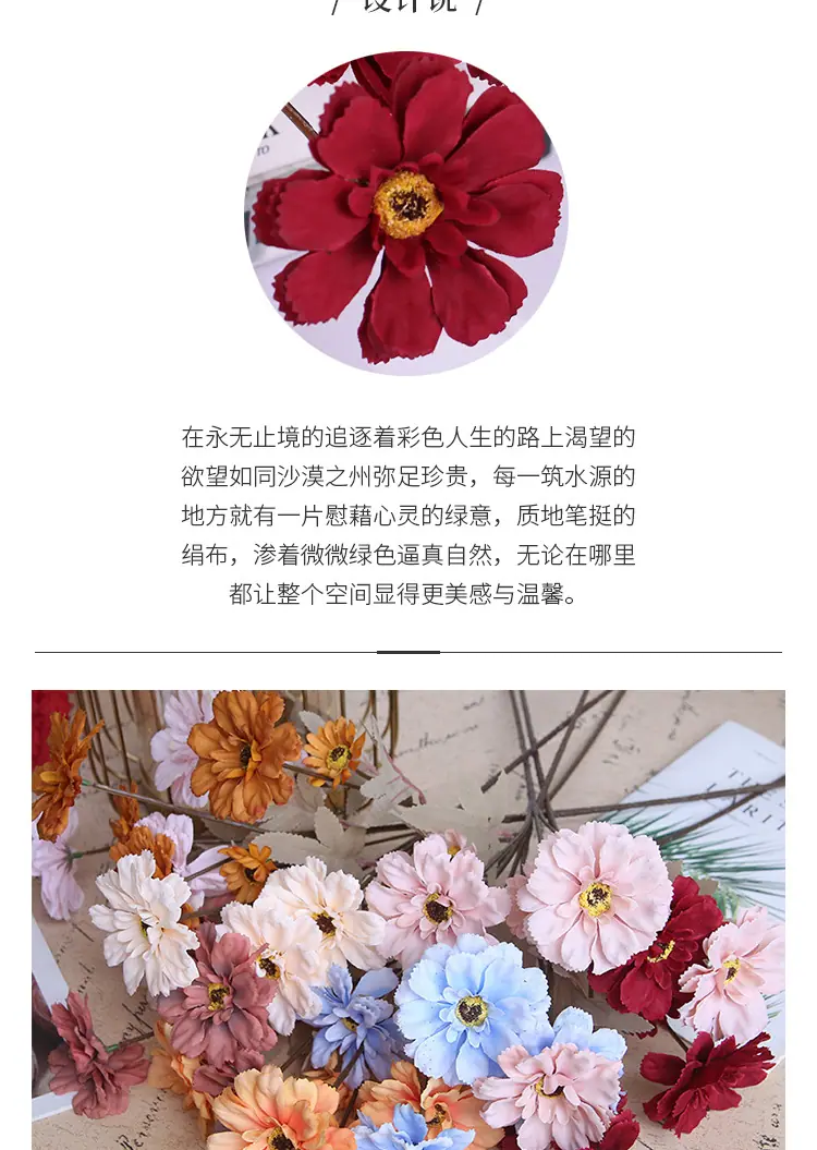 六头百日菊_02.jpg