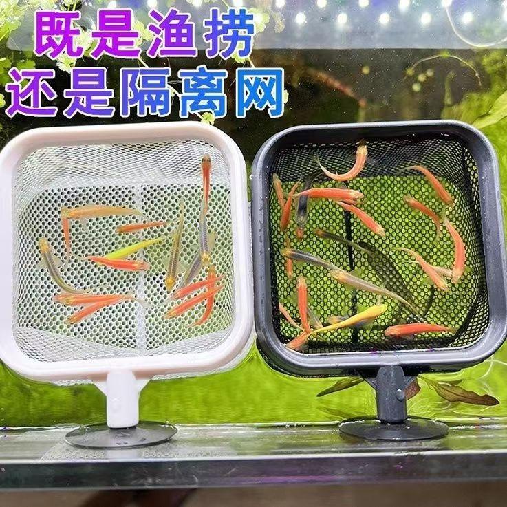 ab1b281259eeca0bec99305acbc2b8