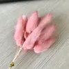 Fábrica atacado coelho cauda grama flor seca buquê de flores secas Natal DIY flor multi-cor opcional 10 ramos