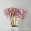 Capim rabo de coelho tie-dye com flor seca, buquê tie-dye com grama decorativa para presente manual, flor da Amazônia, Dia da Mulher 38, Flor Eterna