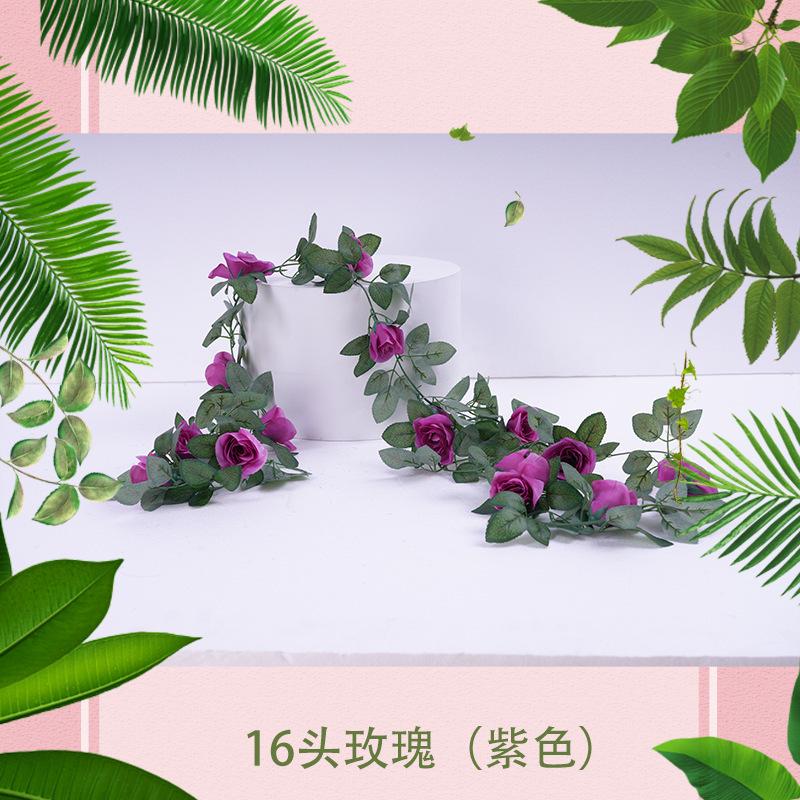 16头玫瑰（紫色）1
