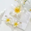 Conjunto de Presilhas de Cabelo Flor de Plumeria de Nova Celebridade da Internet Transfronteiriça para Cabelo Semi-Preso na Parte de Trás da Cabeça, Prendedor de Flor, Presilha de Tubarão Atacado