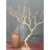 Ramas de árbol secas para paisajismo, árboles de los deseos, árboles muertos, decoraciones de patios interiores, ramas de árbol, troncos y árboles decorativos.