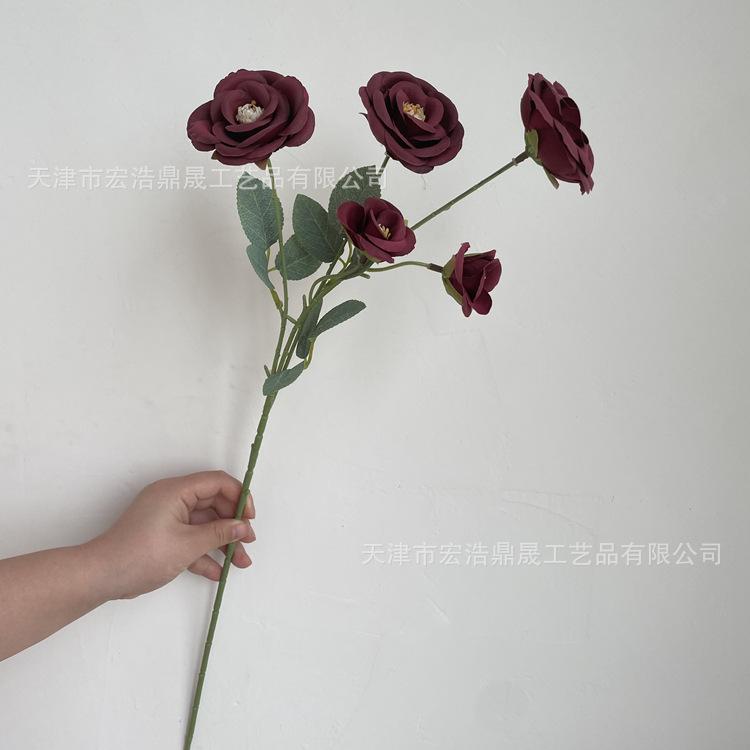 微信图片_202204111604491_副本