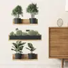 Planta verde em vaso folha de tartaruga bola de cacto adesivo de parede sala de estar escritório decoração de parede adesivo de parede BR612