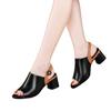 Nuevas Sandalias de Mujer de Comercio Exterior Transfronterizo Estilo Europeo y Americano Tacón Medio Tacón Grueso con Punta Abierta, Bloques de Color, Espalda Abierta y Correa al Tobillo