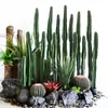Cacto Nórdico Artificial Régua Medidora Planta Verde Falsa em Vaso Decoração de Ornamentos para Chão de Janela Interna