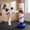 Novo saco de pancadas inflável infantil de desenho animado transfronteiriço, equipamento de boxe para alívio de estresse para uso doméstico, coluna de boxe inflável de PVC