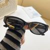 Nuevas Gafas de Sol Polarizadas con Forma de Gato Europeas y Americanas para Hombres y Mujeres Gafas con Núcleo de Placa TR Sentido Avanzado Celebrador en Línea Transmisión en Vivo Sencilla