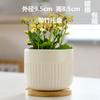 Maceta de Cerámica al por Mayor con Bandeja Hogar Simple Estilo ins Lujo Ligero Estilo Crema Maceta para Flores Carnosas