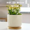 Macetas de Cerámica con Platos para Uso Doméstico al por Mayor, Macetas para Suculentas de Estilo Ins Simple Lujo Ligero Estilo Crema, Disponible para Dropshipping