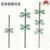 Estrutura de Suporte para Plantas para Prevenir a Queda de Plantas Verdes, Adequada para Costela de Adão, Phalaenopsis, Begônia, Tomate e Outras Plantas