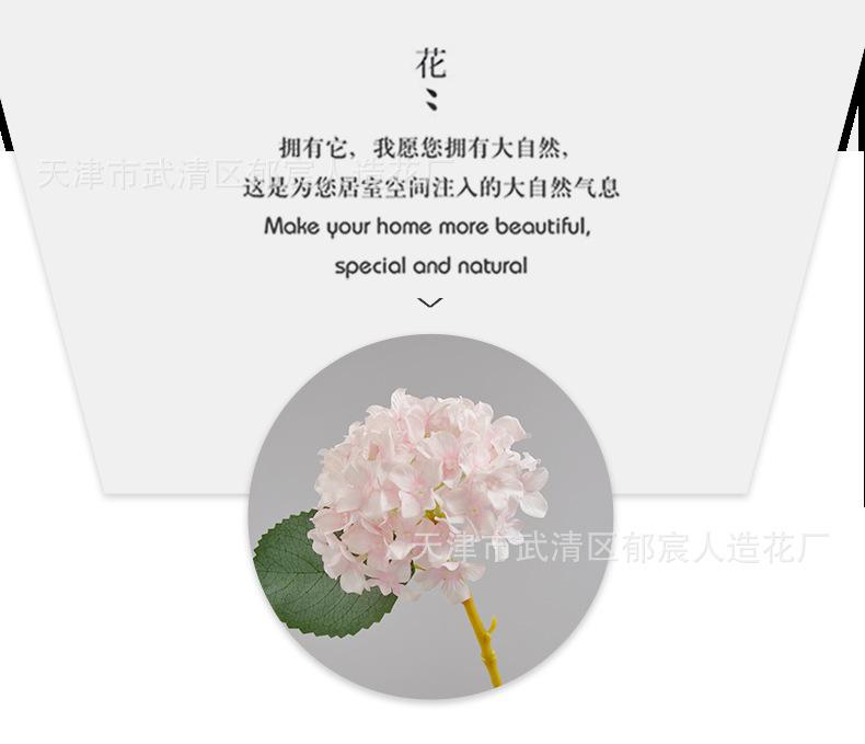 详情_07.png