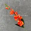 Flores Artificiais Gladiolo de 8 Cabeças em Haste Única Arranjo de Casamento Decoração de Teto Chão Flores Arranjo de Cena de Hotel Atacado Transfronteiriço