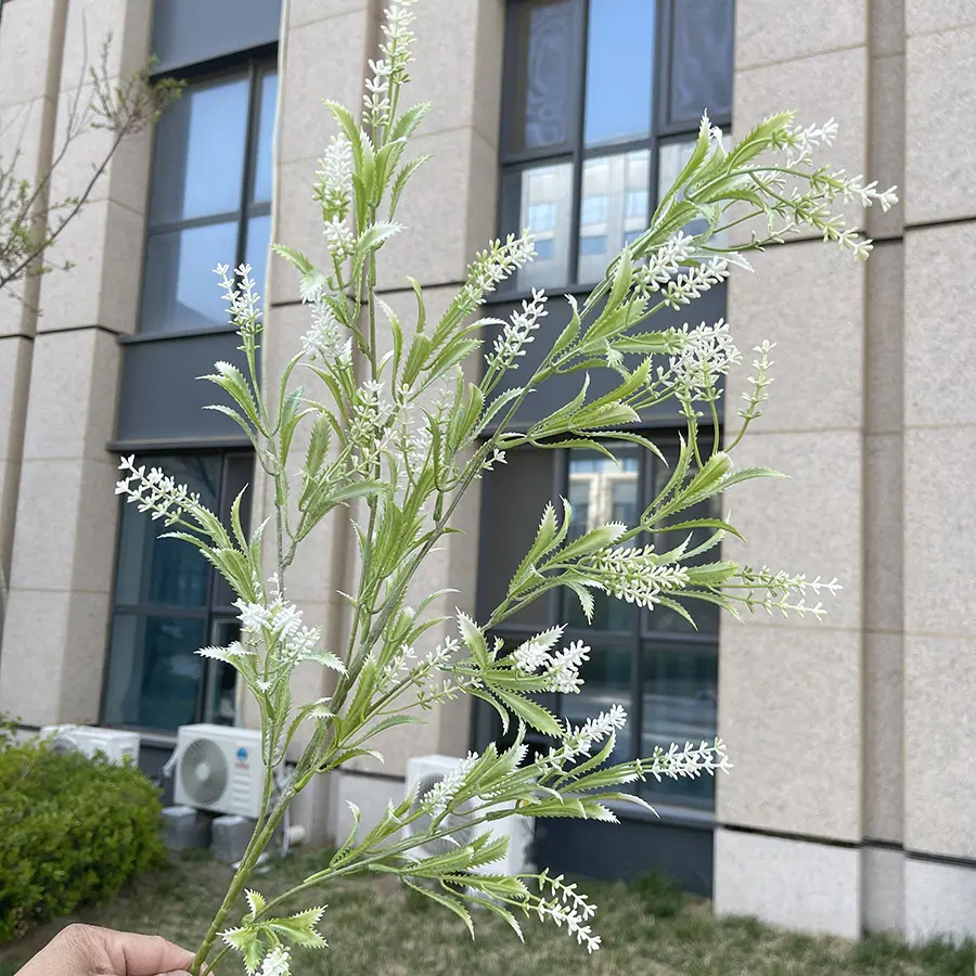 5叉心运薰衣草-白色 4.5元.JPG