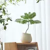 Ins Jiuli Escandinavo Planta Verde Fragante en Maceta Florales Oficina Sala de Estar Escritorio Interior Adornos Purificar el Aire y Eliminar Formaldehído