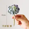 Suculentas Simuladas Pegamento Suave Loto de un Año Plantas en Maceta Decoradas con Plantas Verdes Pared de Fondo Decoración Adornos Pequeños en Maceta Flores Falsas