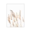 Amazon Escenario Natural Escandinavo Beige Lago Espigas de Trigo Caña Sala Dormitorio Póster Lienzo Núcleo de Pintura Decorativa