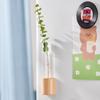 Imán para Refrigerador de Madera Maciza Tubo de Ensayo Magnético Florero Arreglo Floral Decoración Creativa Colgante de Pared Pequeña Planta Verde Hidropónica