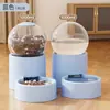 [Novo Modelo] Garrafa de Água à Prova de Vazamento de 1000ml com Design de Coelho e Gato, Bebedouro de Grande Capacidade para Coelhos, Porquinhos-da-Índia e Ouriços