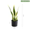 Nueva planta artificial orquídea piel de tigre borde dorado para interior sala de estar suelo decoración bonsái biónica planta verde falsa paisaje bonsái